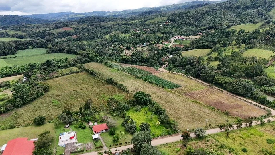 Unleash Your Potential: beautiful Flat land for sale in the heart of Pérez Zeledón. — photo 4