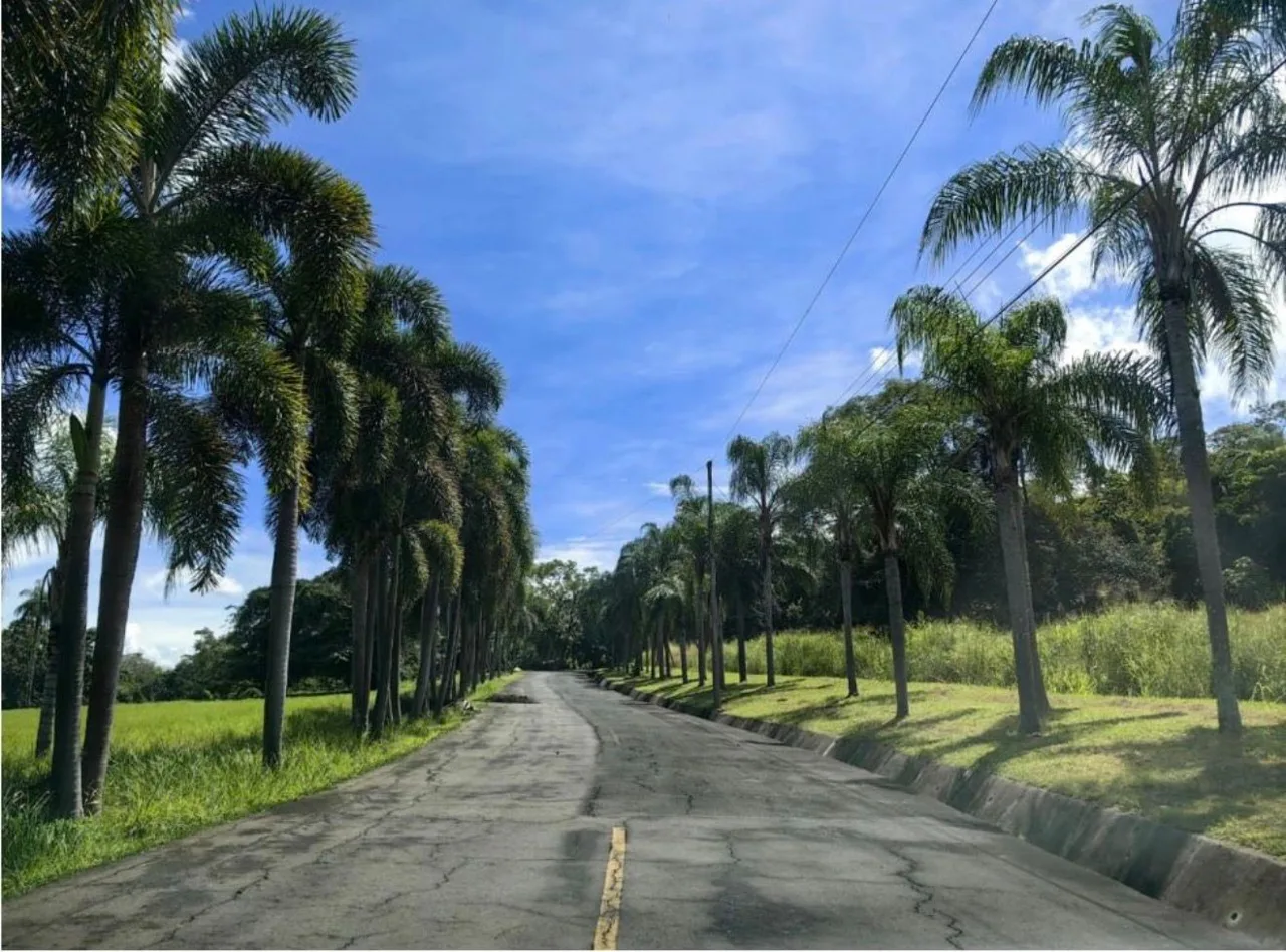 🏡 FOR SALE – 3,748 m² Lot in Hacienda Los Ceibos Gated Community, Orotina, Alajuela