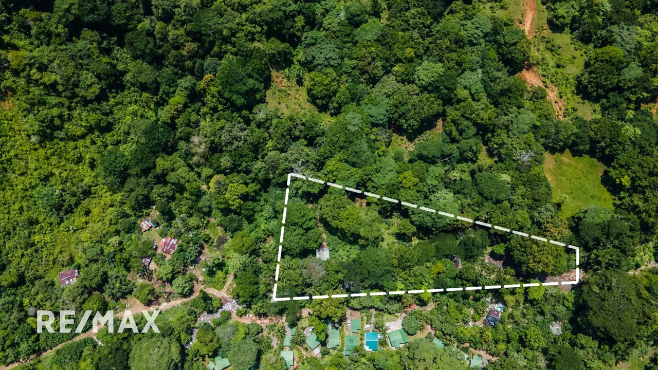 Enchanting Riverside Lot in Playa Hermosa with Waterfalls and Abundant Wildlife