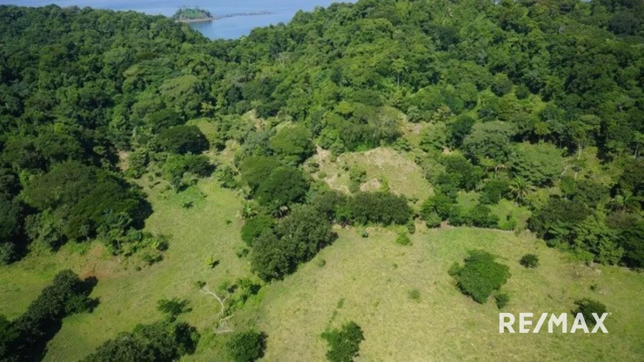 Carara Bay Development in Agujas — photo 4