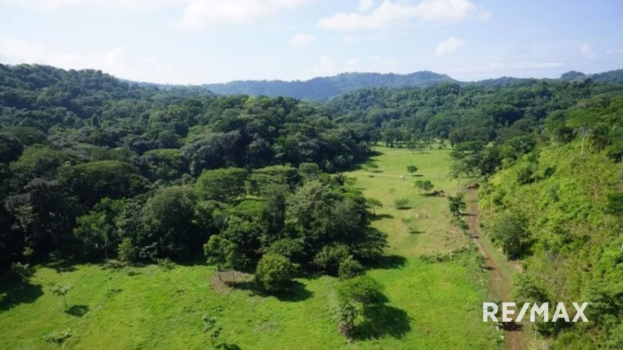 Carara Bay Development in Agujas — photo 5