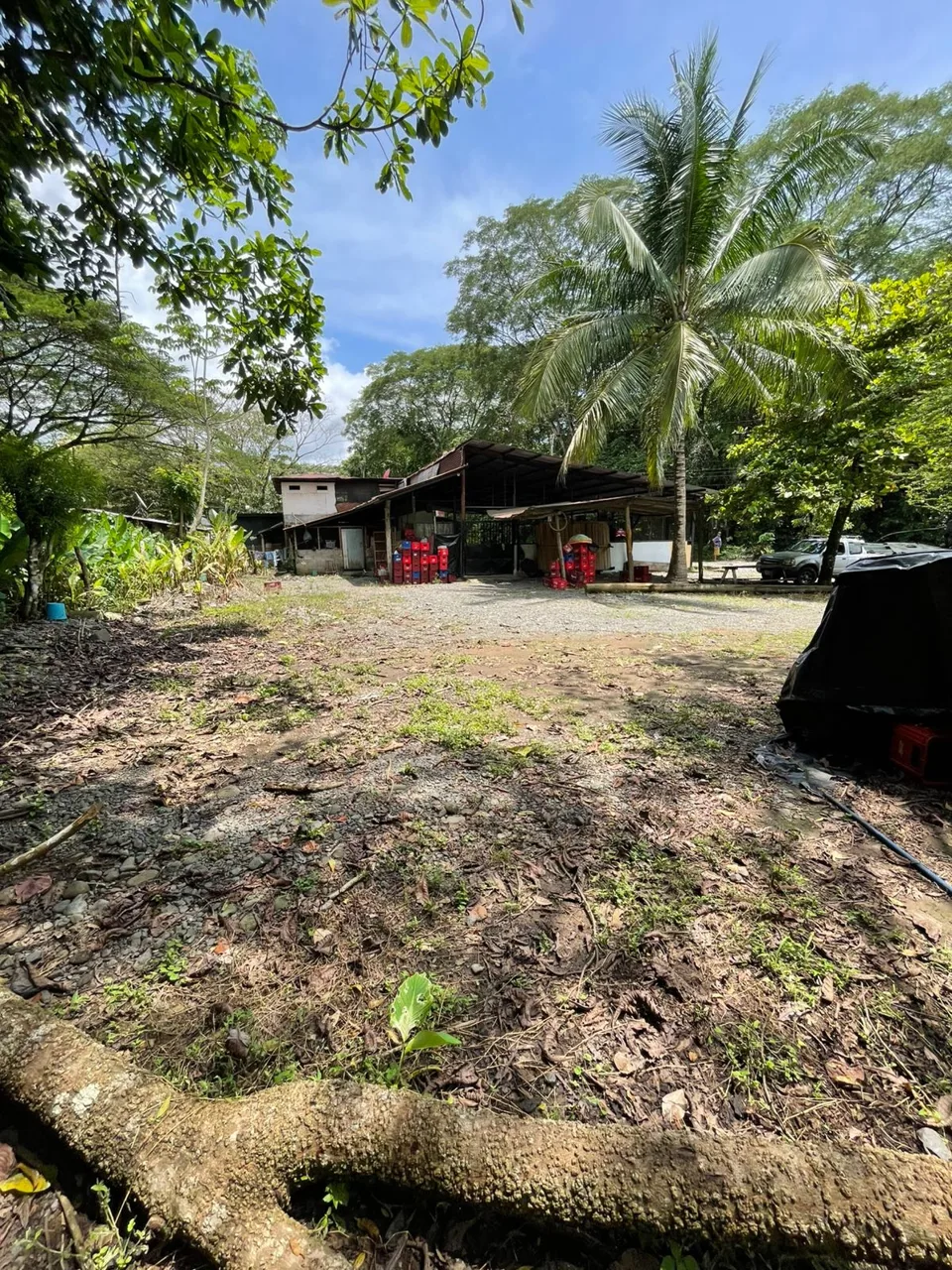 Unique Commercial Opportunity in Turrubares — photo 2