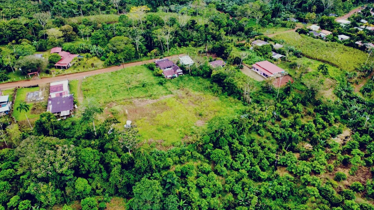 For Sale: Opportunity In Cajón: Only 100 M From Paved Road With Two Access Points — photo 2