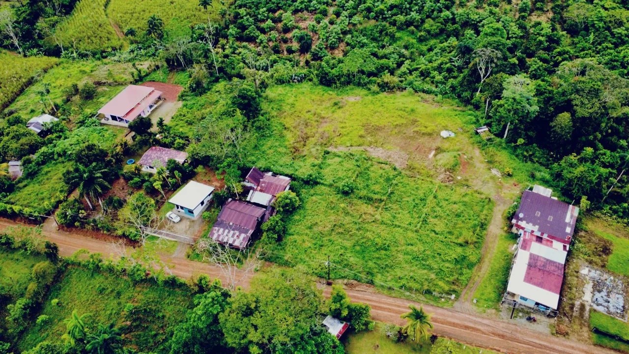 For Sale: Opportunity In Cajón: Only 100 M From Paved Road With Two Access Points — photo 3
