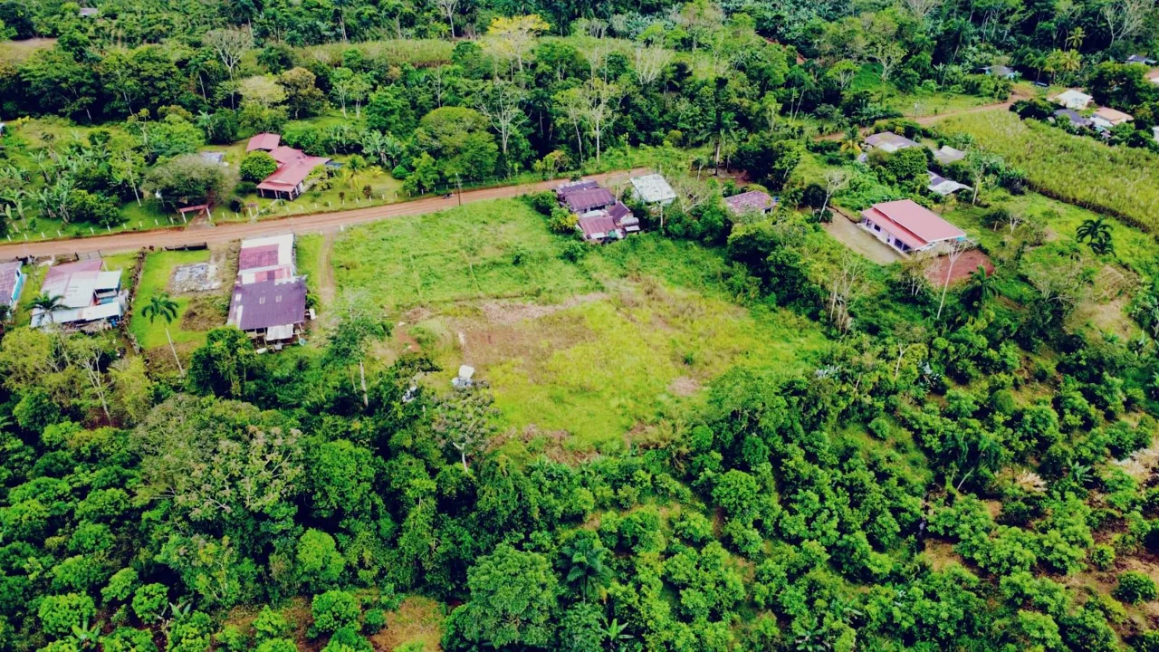 For Sale: Opportunity In Cajón: Only 100 M From Paved Road With Two Access Points — photo 4