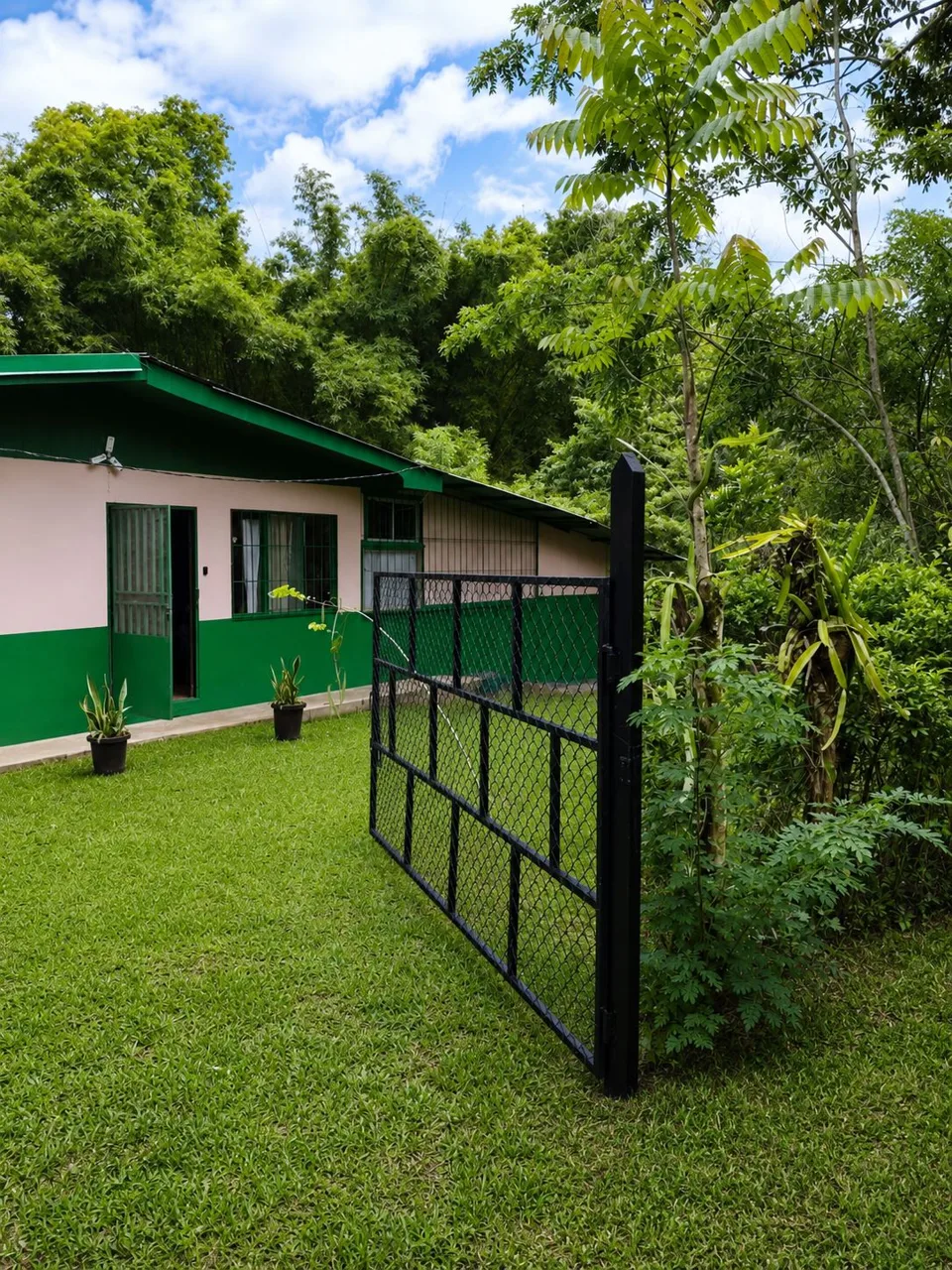 HOME FOR SALE IN LLANO AZUL, UPALA, COSTA RICA