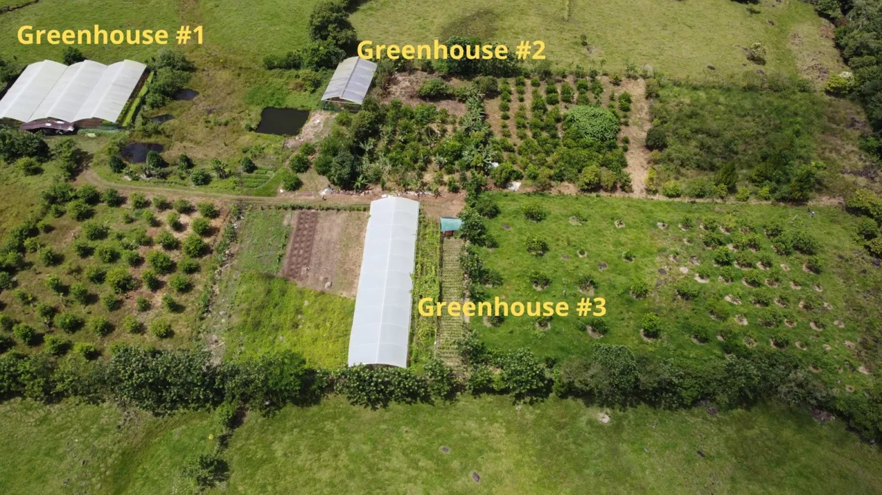 Beautiful Organic Farm For Sale In The Heart Of Cajon Perez Zeledon, High Potential Property — photo 2