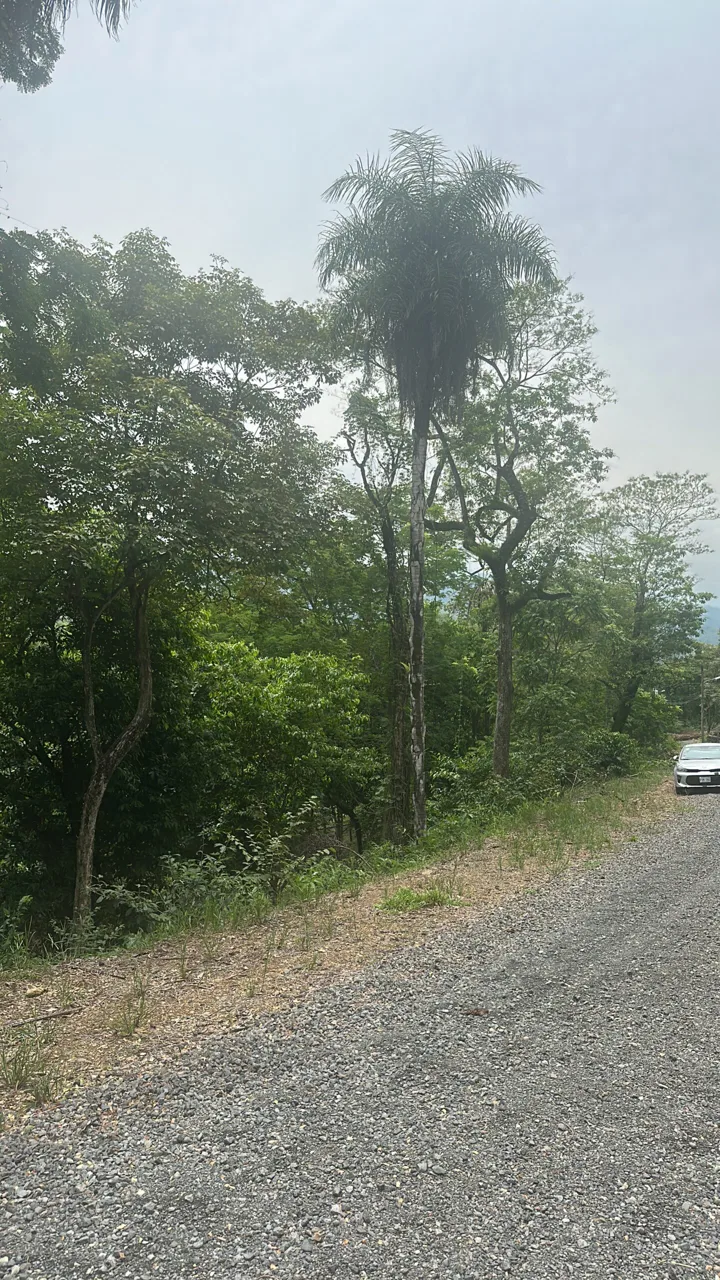 Residential Lot for Sale in Quintas Casa de Campo, Orotina – A Natural Retreat with Investment Potential