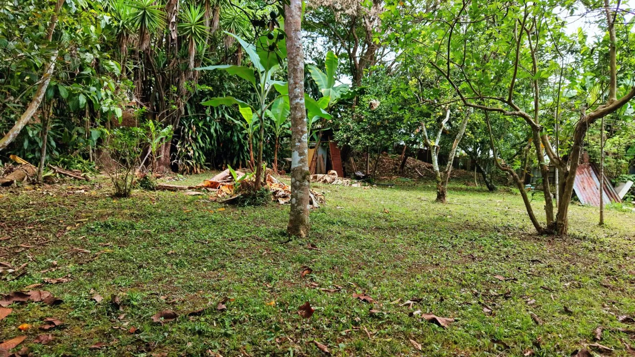4,321 m² lot for sale | Barrio San Rafael, Pérez Zeledón, Costa Rica | Residential