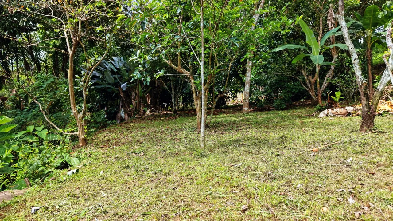 4,321 m² lot for sale | Barrio San Rafael, Pérez Zeledón, Costa Rica | Residential — photo 2