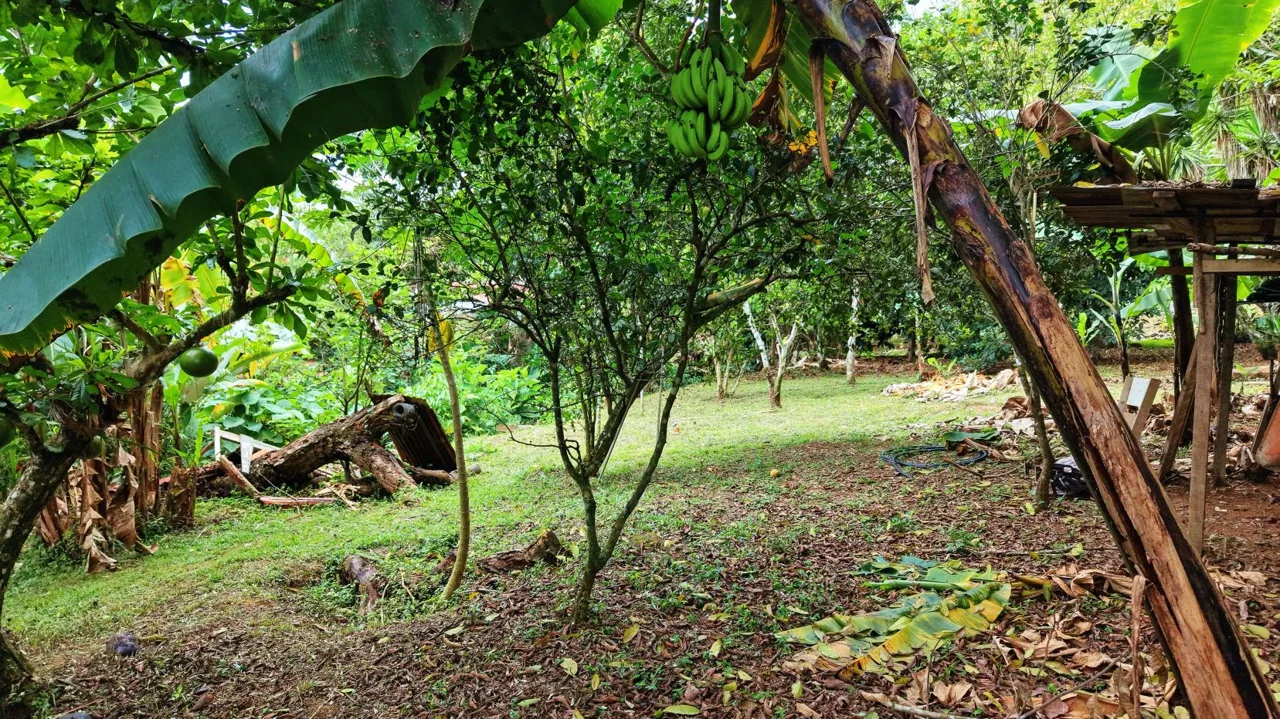 4,321 m² lot for sale | Barrio San Rafael, Pérez Zeledón, Costa Rica | Residential — photo 3