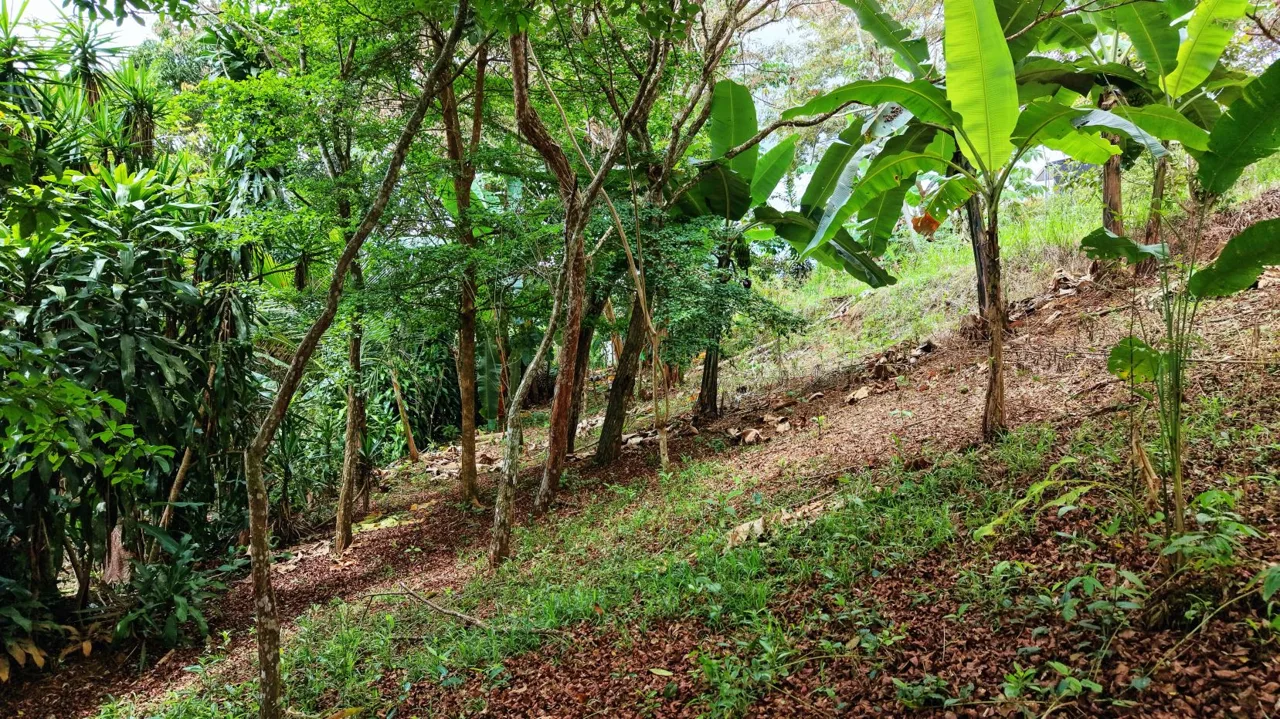 4,321 m² lot for sale | Barrio San Rafael, Pérez Zeledón, Costa Rica | Residential — photo 4