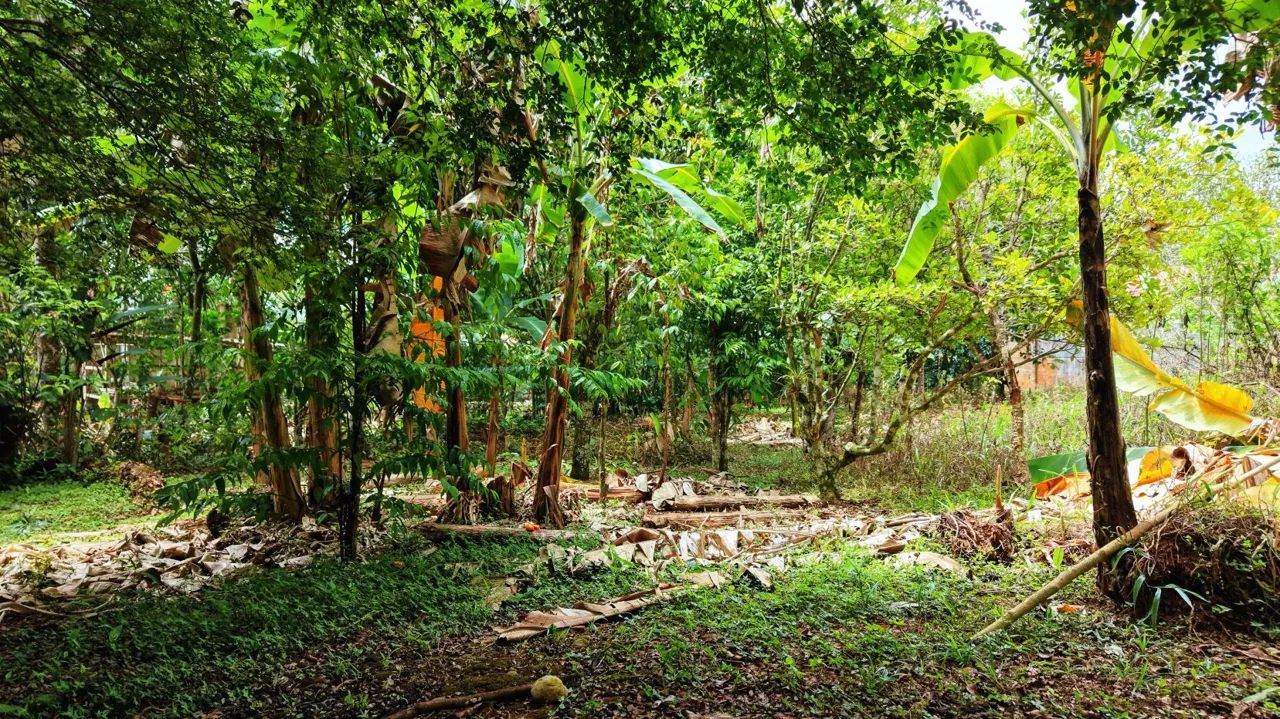 4,321 m² lot for sale | Barrio San Rafael, Pérez Zeledón, Costa Rica | Residential — photo 5