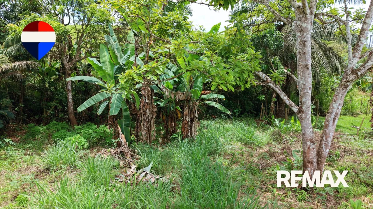 Land for Sale in El Pilar de Cajón, Pérez Zeledón – 1,084 m² Fully Flat Lot — photo 4