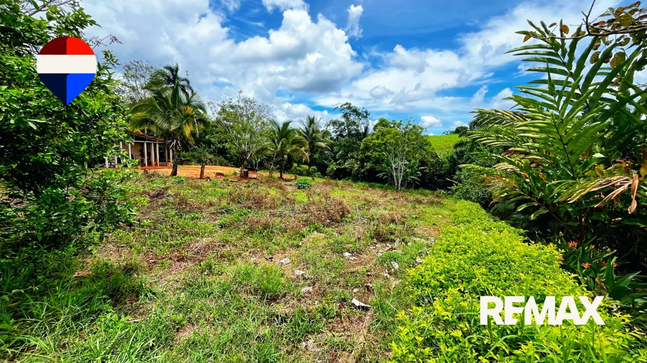 Land for Sale in El Pilar de Cajón, Pérez Zeledón – 1,084 m² Fully Flat Lot — photo 5