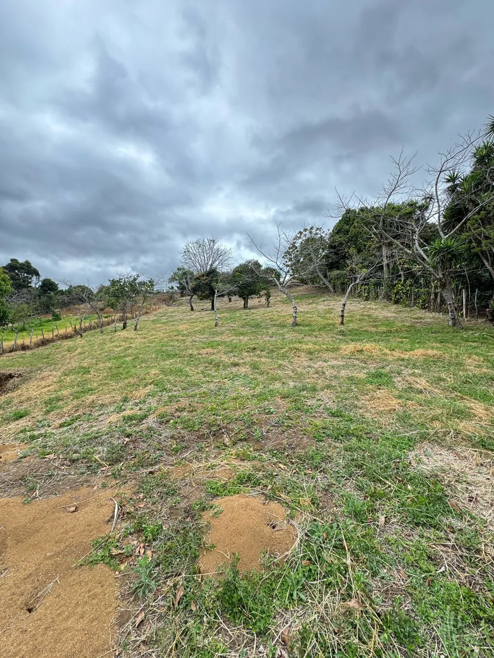 Land for Sale in Chahuites de Santa Bárbara de Heredia – Prime Location with Panoramic Views