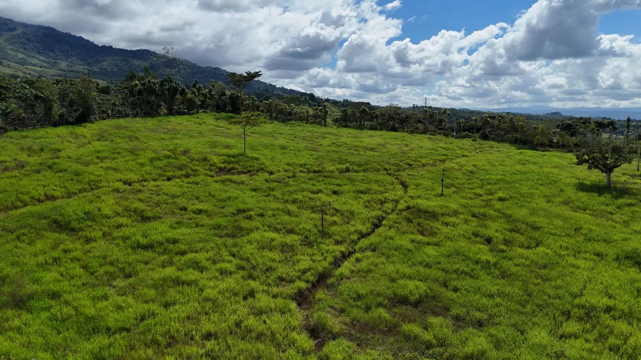 Invest in Santa Elena: Premium Lots in a Growing Real Estate Area — photo 4