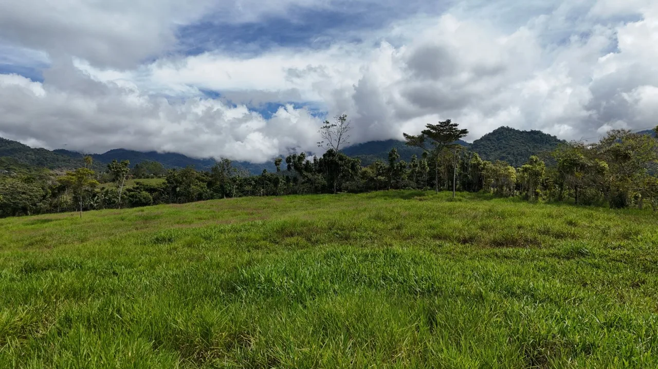 Invest in Santa Elena: Premium Lots in a Growing Real Estate Area — photo 5