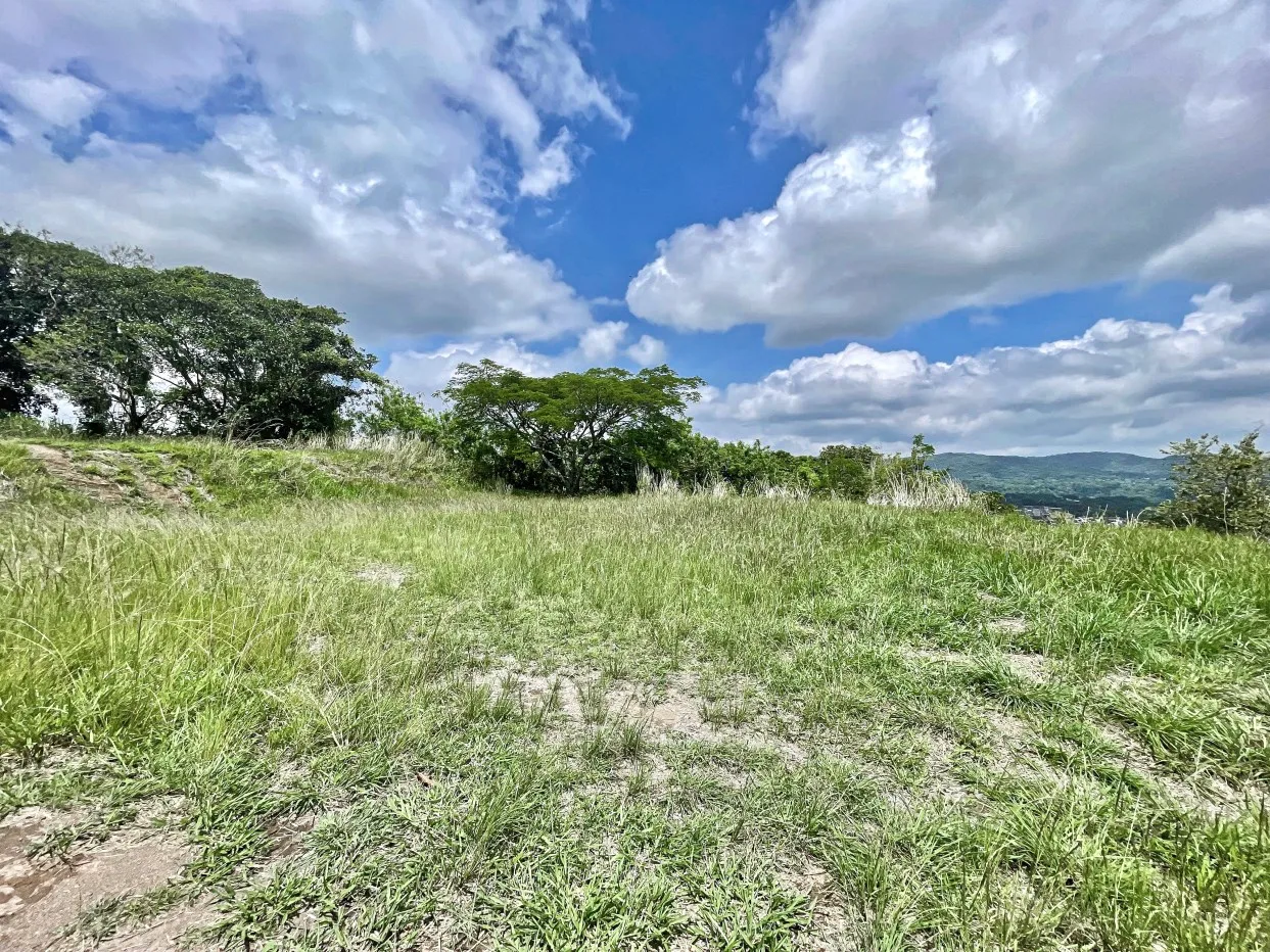 Bambues Dream Home Lot — photo 2