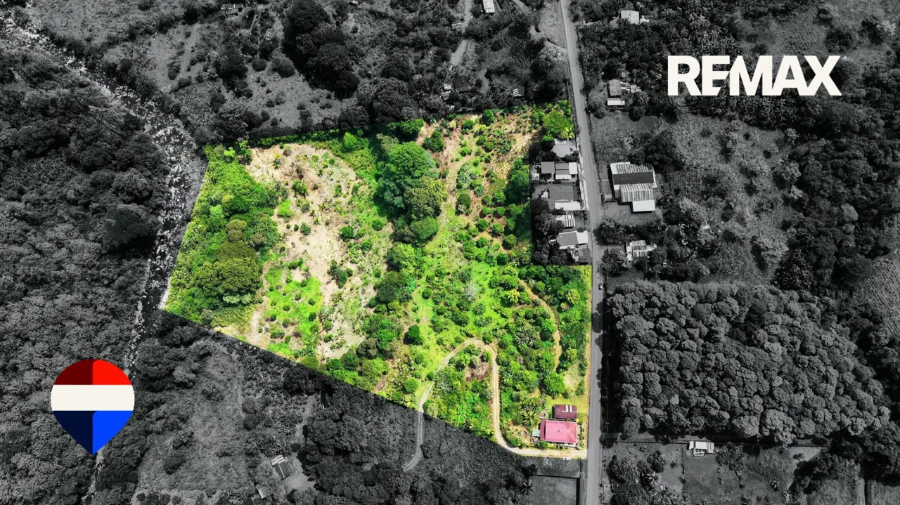 4.29 Hectare Farm for Sale in La Unión, San Pedro, Pérez Zeledón, Costa Rica — photo 2