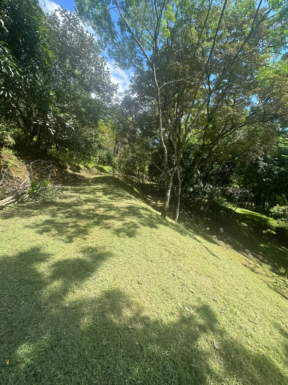 Opportunity, Property For Sale, San Pedro Turribares — photo 3