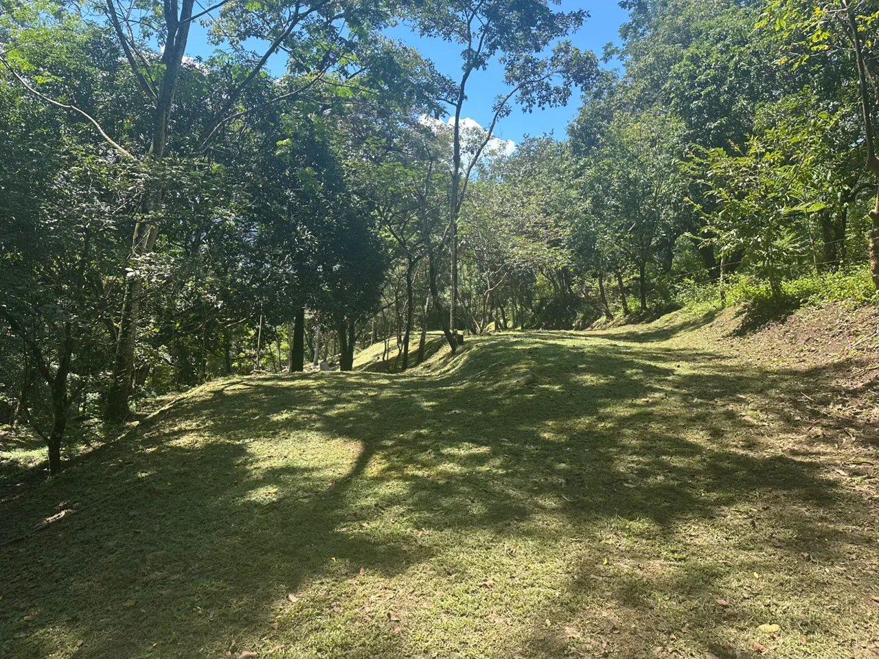 Opportunity, Property For Sale, San Pedro Turribares — photo 4