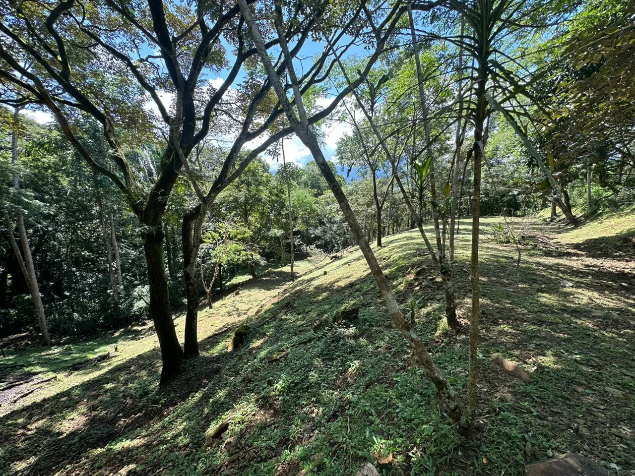 Opportunity, Property For Sale, San Pedro Turribares — photo 5