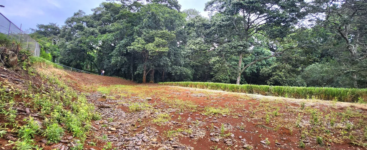 2,891m of usable land with a stream and trees