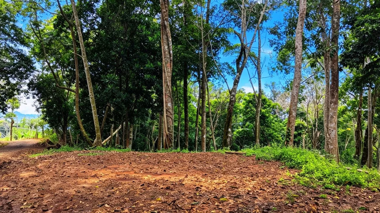 Land 7.000m for Sale in Miravalles de Rivas, Pérez Zeledón – Nature, Perfect Climate &amp; High Investment Potential