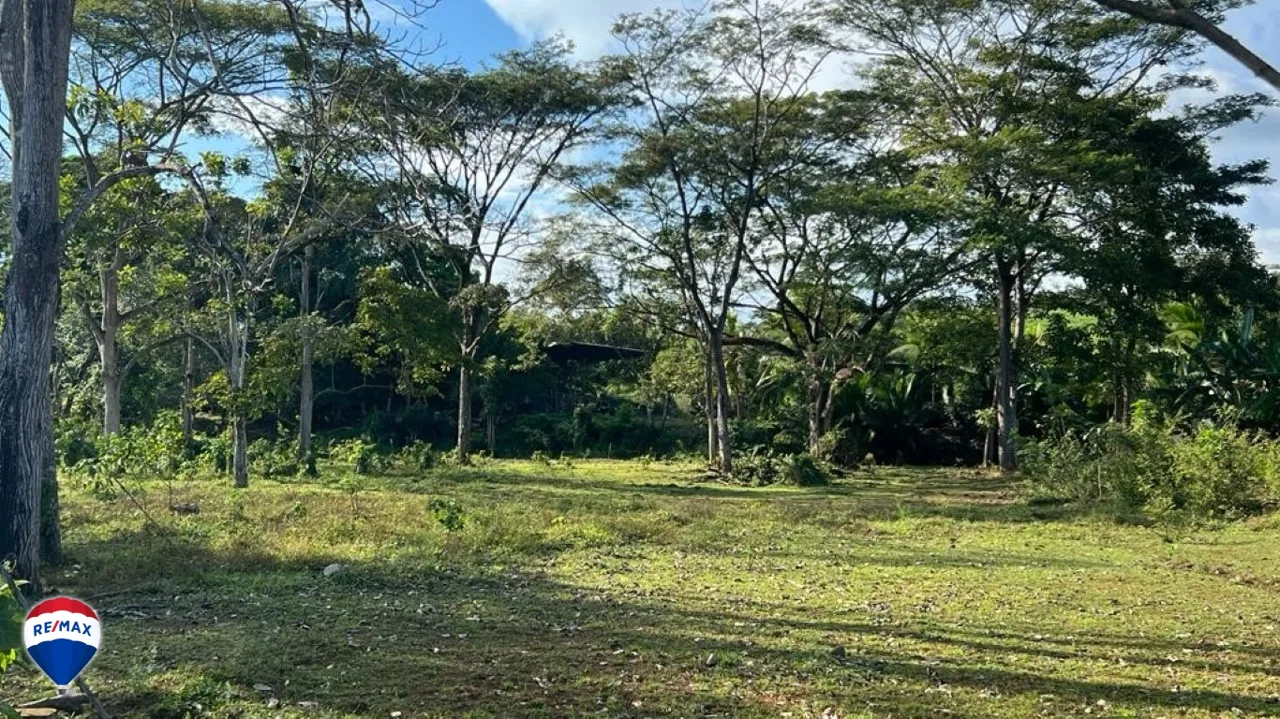 Large Lot For Sale ǀ Quebrada Amarilla