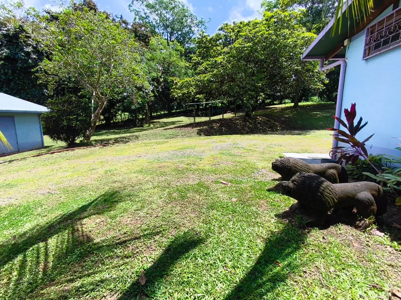 Mountain Retreat with Mango Plantation – Turrubares- Property on 3.7 Hectares | $559,000 — photo 4