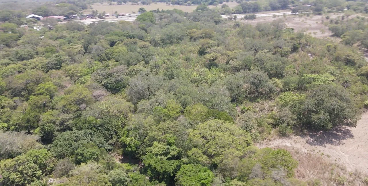 Finca Nuestra Tierra Land for Sale Along the Pan-American Highway – El Salto, Liberia