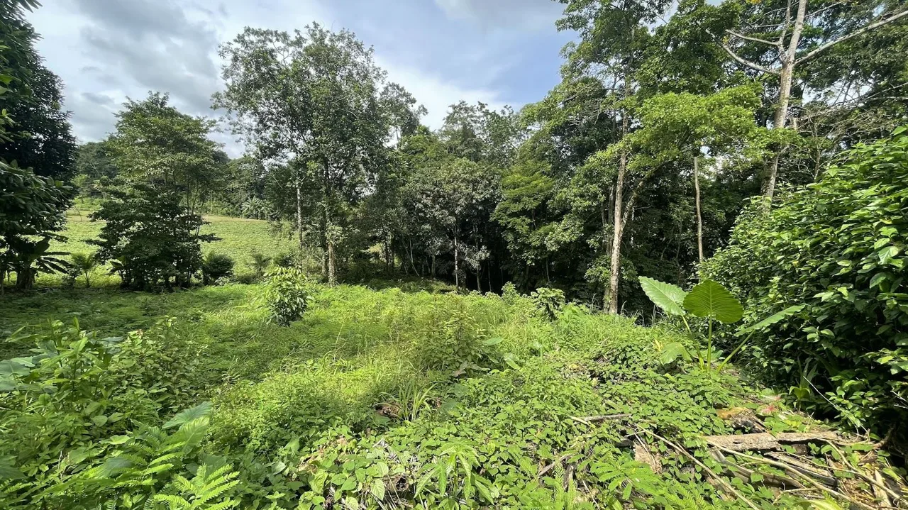 LOT FOR SALE IN CHACHAGUA, SAN RAMON