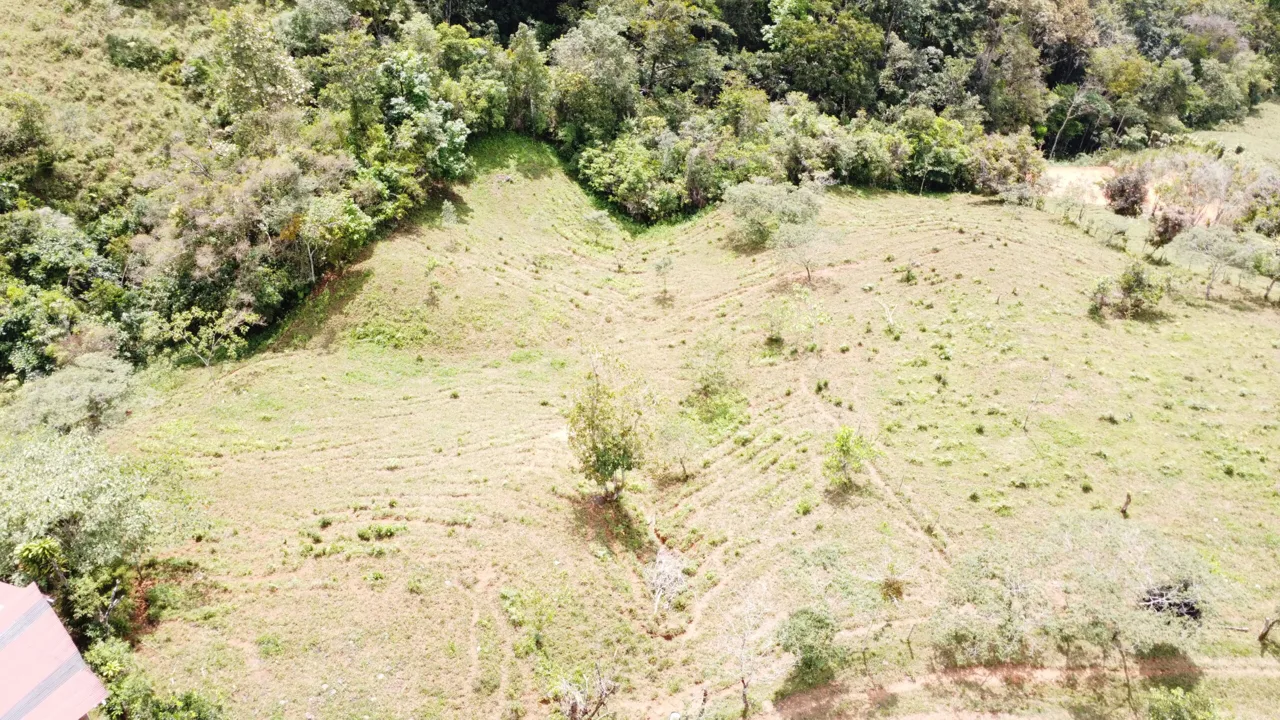 Secluded, private and peaceful large lot with amazing view — photo 4