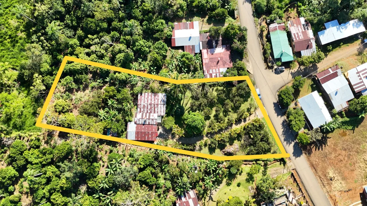 Unlock The Potential Of This Charming Property With Organic Farming Opportunities In San Pedrito De Cajón, Pérez Zeledón