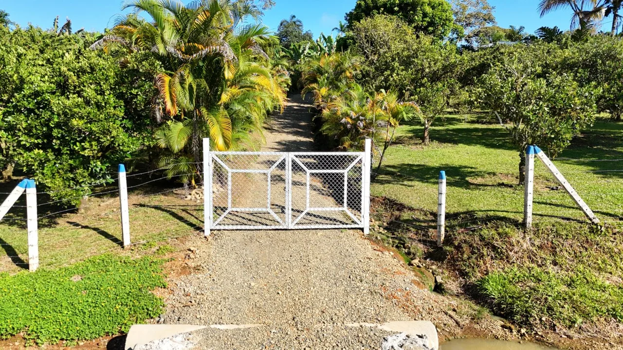 Unlock The Potential Of This Charming Property With Organic Farming Opportunities In San Pedrito De Cajón, Pérez Zeledón — photo 2