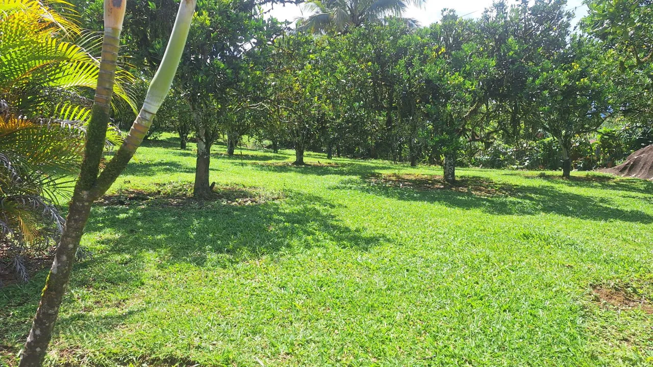 Unlock The Potential Of This Charming Property With Organic Farming Opportunities In San Pedrito De Cajón, Pérez Zeledón — photo 3