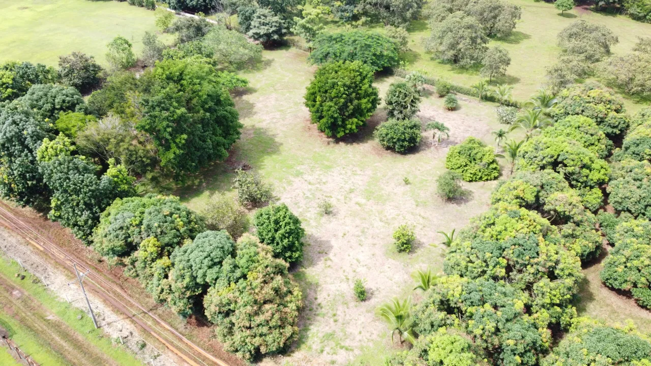 Beautiful property for sale