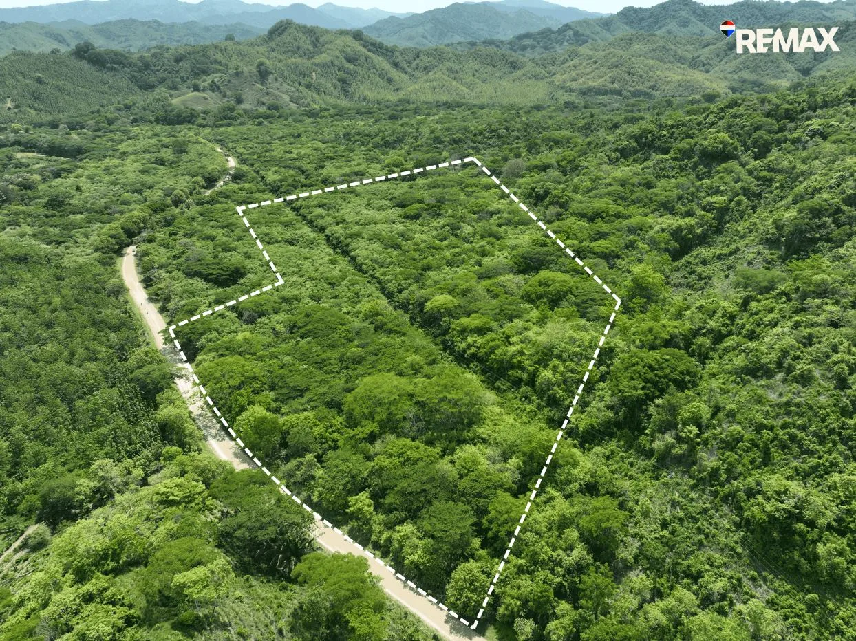 Cacao Farm with Irrigation &amp; Public Road Frontage | 130,660 m² | La Fresca, Lepanto, Puntarenas
