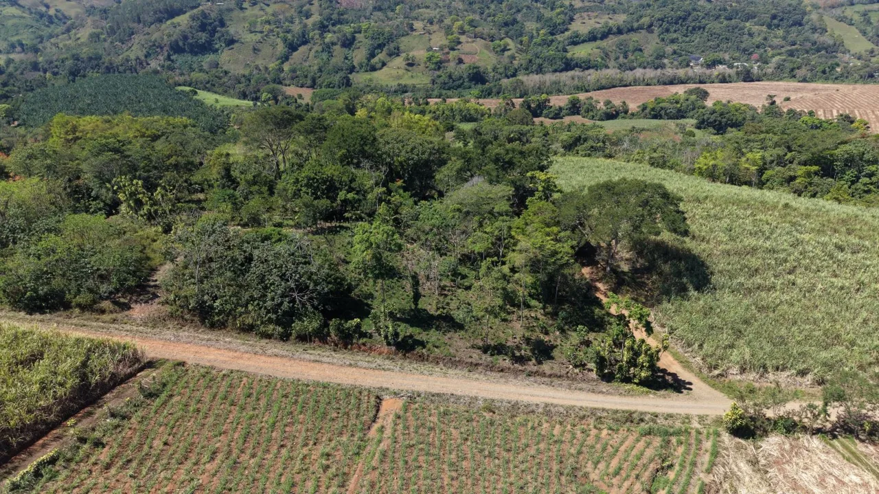 Lot: 10,718 m² with Mountain Views and Fruit Trees for Sale in Las Mercedes de Cajón – Highly Peaceful Area