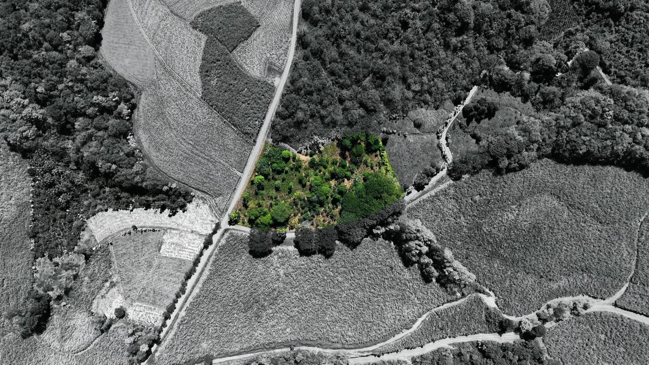 Lot: 10,718 m² with Mountain Views and Fruit Trees for Sale in Las Mercedes de Cajón – Highly Peaceful Area — photo 3