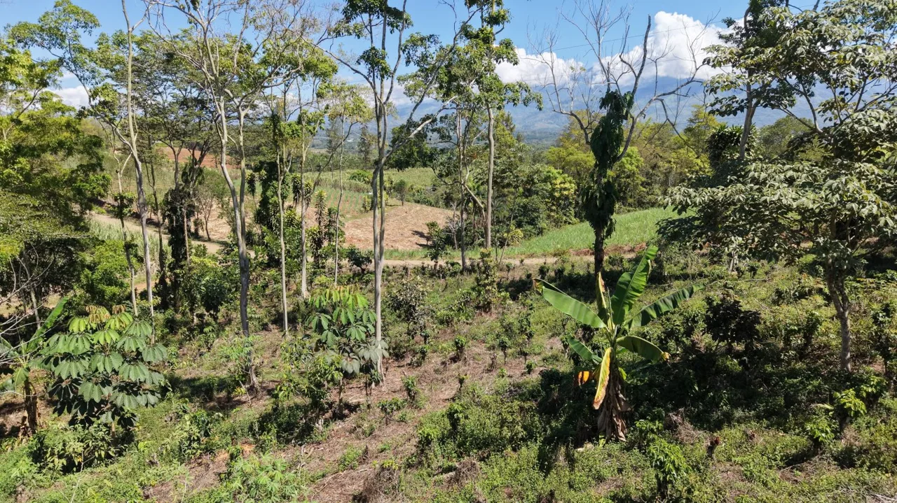 Lot: 10,718 m² with Mountain Views and Fruit Trees for Sale in Las Mercedes de Cajón – Highly Peaceful Area — photo 5