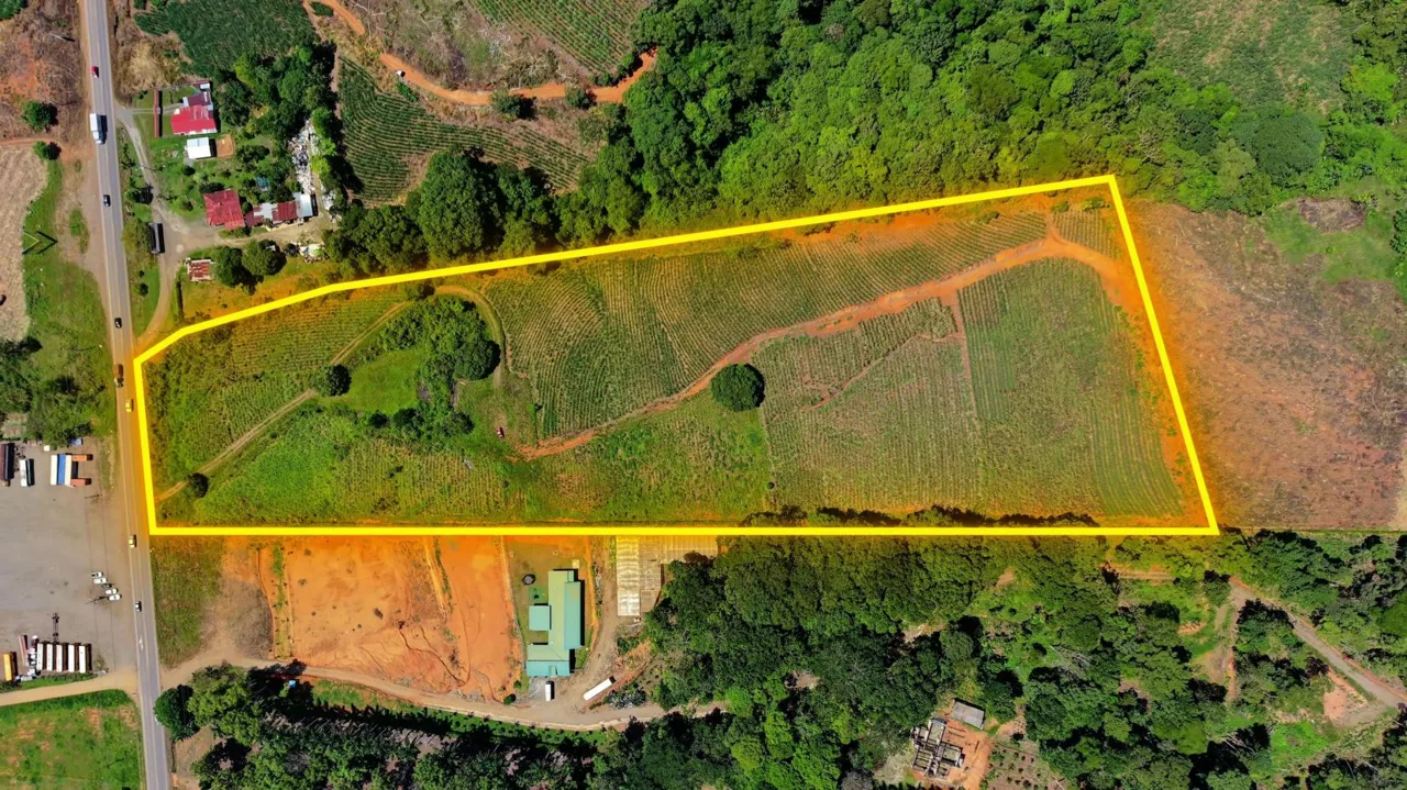 Prime Commercial Development Land for Sale in Repunta, Pérez Zeledón — photo 3