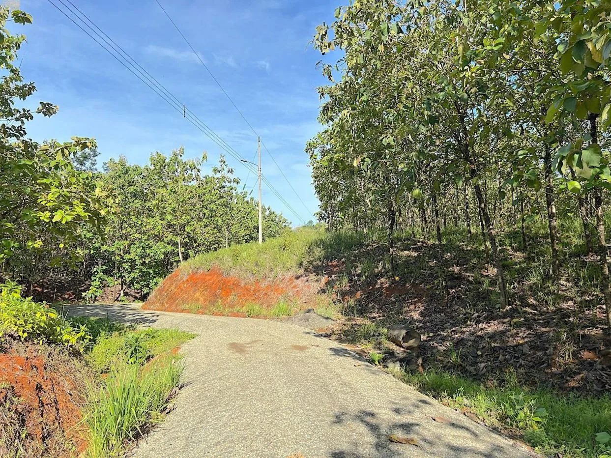 FIRE SALE | MATAPALO 1.2-ACRE BUILD-READY LOT
