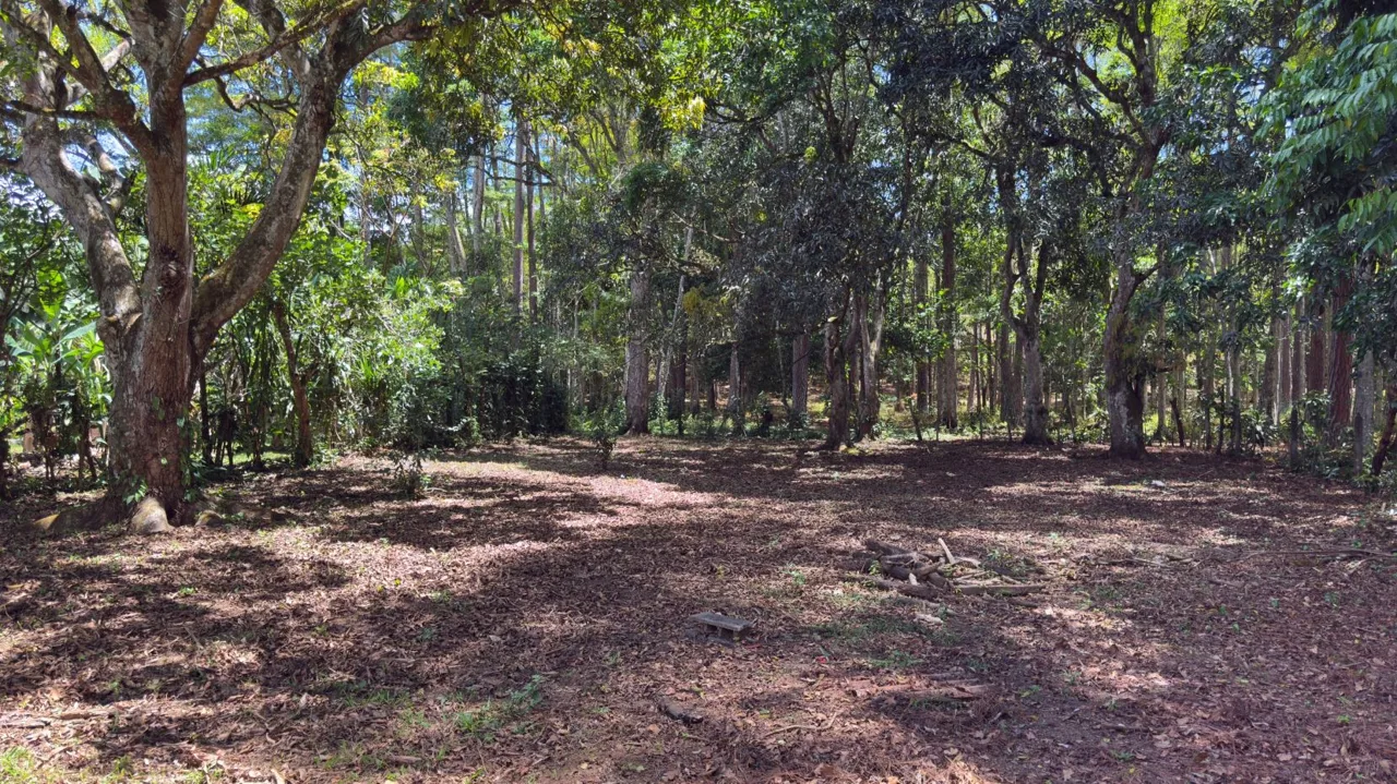 1,200 m2 Lot for Construction for Sale in Juntas de Pacuar: Flat Topography and Connectivity