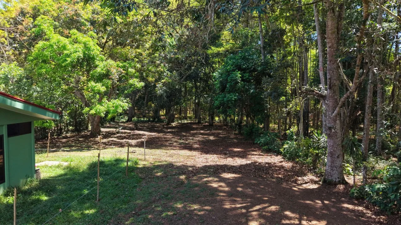 1,200 m2 Lot for Construction for Sale in Juntas de Pacuar: Flat Topography and Connectivity — photo 2