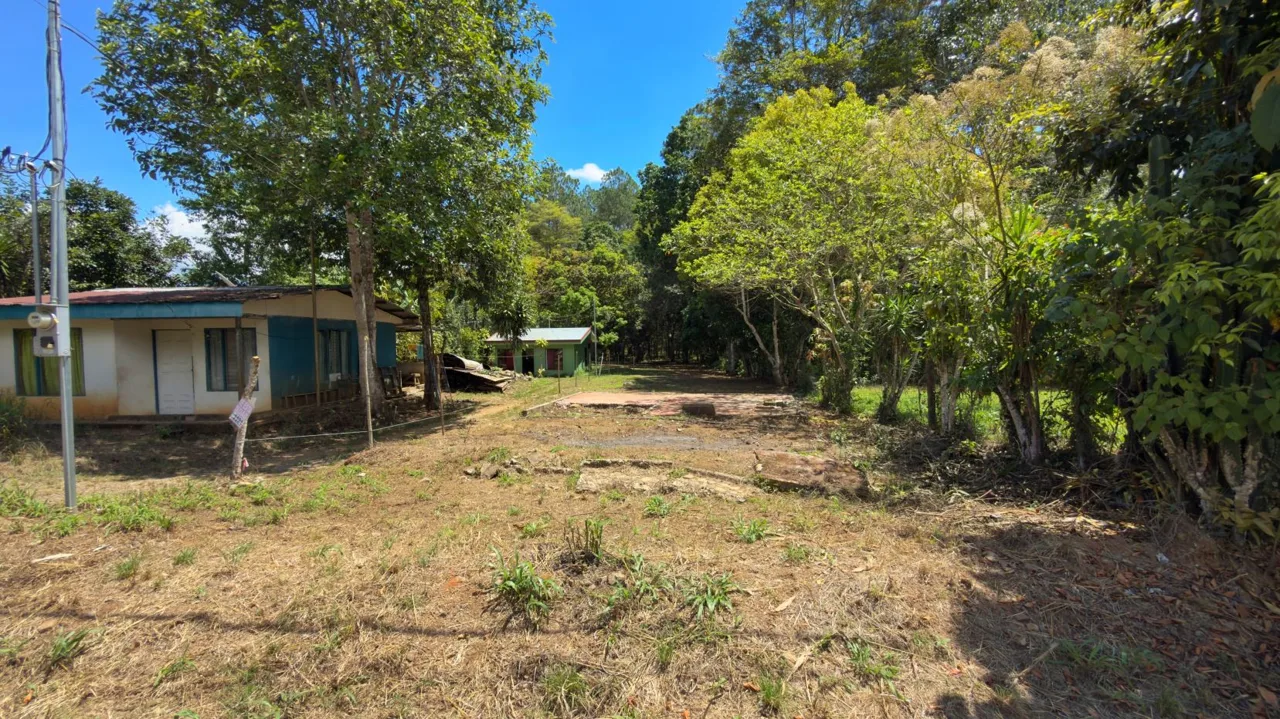 1,200 m2 Lot for Construction for Sale in Juntas de Pacuar: Flat Topography and Connectivity — photo 4