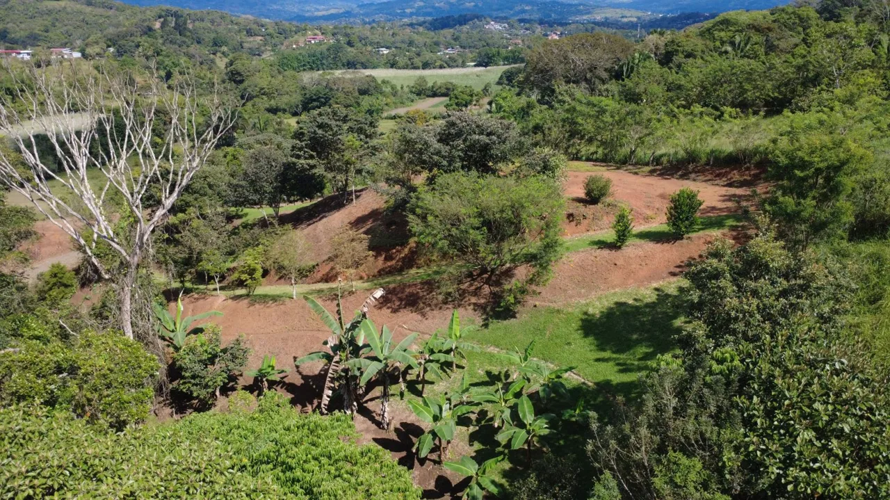Sustainable Lot For Sale in the privacy of Perez Zeledon, Rosario De Pacuar — photo 3