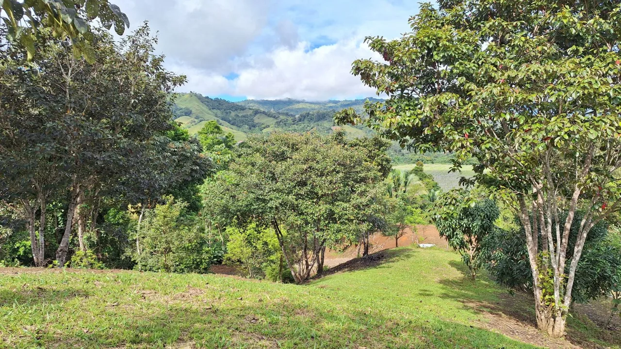 Sustainable Lot For Sale in the privacy of Perez Zeledon, Rosario De Pacuar — photo 4