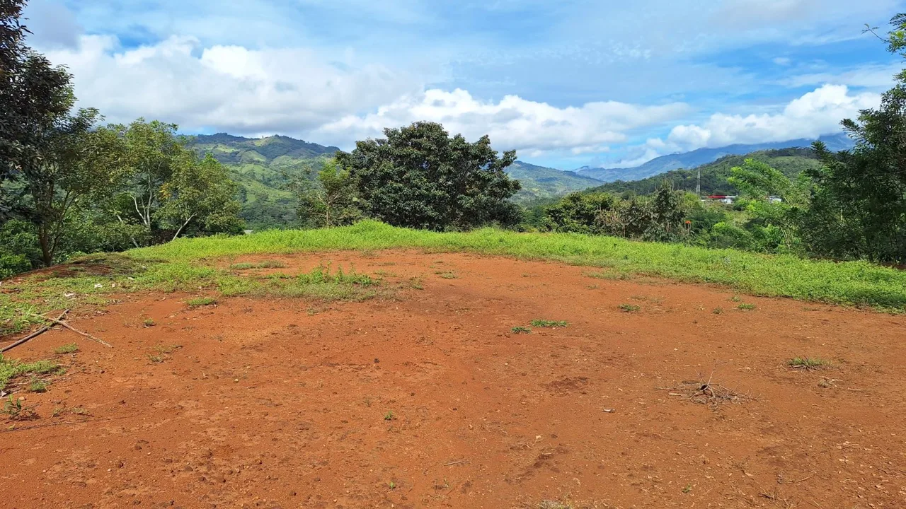 Sustainable Lot For Sale in the privacy of Perez Zeledon, Rosario De Pacuar — photo 5